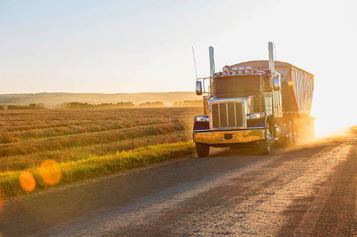 There is a lot of farm work too for CDL drivers that will see them home everyday. And pride soars when you're driving a beautiful Peterbilt truck.